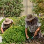 Landscaping Services That Deliver Great Value