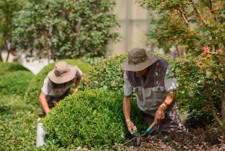 Landscaping Services That Deliver Great Value