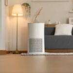 Air Purifiers That Keep Your Home Fresh