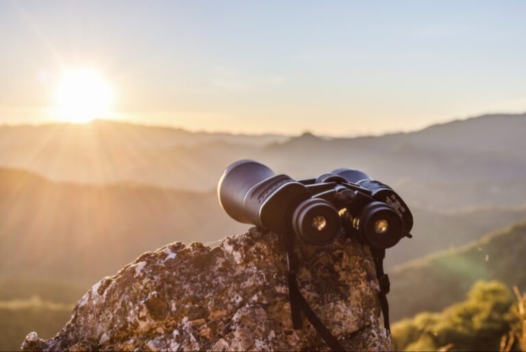 Birdwatching Binoculars for Every Nature Lover