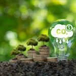 Understand Environmental Costs Before You Buy