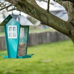 Bird Feeders That Attract Nature’s Beauty