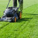 Choosing a Lawn Mower That Fits Your Yard