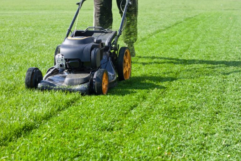 Choosing a Lawn Mower That Fits Your Yard
